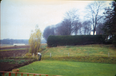 Baksidan av Rönnbärsgatan 15, mot kyrkogården innan Västra Tullportsgatan fanns