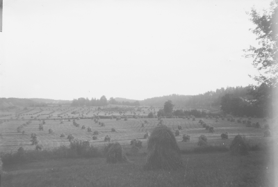 Hällebacka

Många av bilderna i mappen Hällebacka kan lika gärna vara tagna kring Lidhem Locknevi.