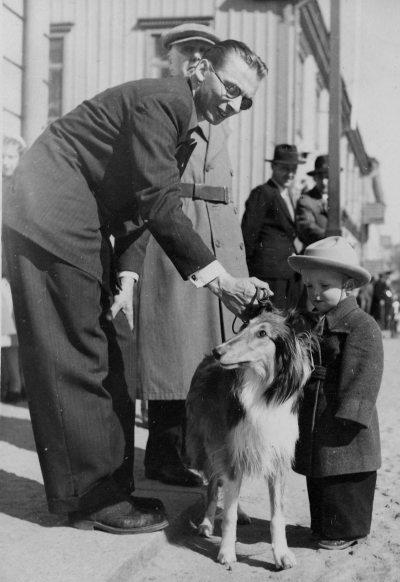 Seved Hasselqvist , grabben son till, musikfanjunkare Johansson. 