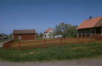 Hus uthus maskrosor 

090525/KG