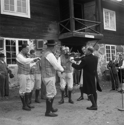 Spelmansstämma i Linneryd

Dok.110223/KG