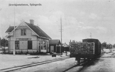 Järnvägsstation, Spångenäs.

Vykort, förlag: C. Elof Nilsson

Dok.090119/SJ