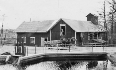 Älåkra kvarn. 
Ekipaget framför kvarnen är troligen bröderna Nilsson från Hästmosshult. 1947-1951 arbetade Lennart Jonsson  Älåkra som mjölnare. Ägare var Vilgot Johansson och kompani, hans söner Ebbe, Ture och Tage.
Lennart arbetade en kort tid på lådfabrik, 1952 började han arbeta hos mjölnare Erik Karlsson som avled 1964 eller 1965.  1965 arrenderade Lennart Jonsson kvarnen av fru Ingrid Karlsson, han fick hjälp av sin far Oskar Jonsson Älåkra, han var från Slättfall. 
1966 köpte Vimmerby kommun kvarnen men Lennart drev rörelsen vidare fram till 1971, kvarnen var nedsliten och kommunen renoverade inte, dessutom var många gårdar nedlagda därför slutade Lennart år 1971,
han blev den sista mjölnaren.   1957 gifte sig Lennart med Inga Britt Svensson Svensborg, de byggde hus senare på Stenbäcksgatan.

Lennart Jonssons egen historik :   Född 1932, han minns att det fanns cirka 200 kvarnar i Kalmar Län fram till krigsåren.  Upptagningsområdet var mycket stort till Älåkra kvarn.  Lennart räknar upp samtliga byar kring Vimmerby.
Från Älåkra - Hästmosshult, Vinketomta, Falla, Slättfall, Barmshult, Gryssebo- ut mot Björksebo, Baggemåla-Fjälster i Tuna, Ingebo, Knabbarp, Kvillehult, Rådehult, Solnehult, Gebo, Algutstorp, Skillingarum. Norr om Vimmerby-Alsta, Boda,Sjundhult, Ödestorp,
Nyshult, Nyserum, Säfflod i Frödinge.
Man malde både brödsäd och fodersäd, klämde havre och rensade utsäde.  Arbetsdagarna blev oftast långa under högsäsong, 12-14 timmar/dag.
Lennart minns att han en vår i slutet på 1950-talet rensade 250 000kg säd, då skulle utsädet betas och det fanns så kallad avluftning på betningsbehållaren, men det fastnade en del sädeskorn inuti behållaren och Lennart skrapade ur med händerna.
Han tuppade av och vaknade på Vimmerby sjukstuga efter magpumpning, kvicksilvernitratet var ju mycket giftigt.  Lennart fick ta sig ut till stämbord vid Nossens utflöde och redan då reglera vattenflödet morgon och kväll, han fick också slå vass med lie när Lillån vuxit igen.
1949 lades årensningen ut på entreprenad och Flinks gjorde jobbet för 1kr/m. eller totalt 1200 kronor.  På kvarntaket  till höger finns ett så kallat silotorn, en beredskapssilo där det förvarades 150-200 ton säd åt Kronan som man sa då,
under krigsåren beordrades dylikt.  Lennart Jonsson minns att det förvarades 2 tunnor fat fotogen intill lagret som skulle användas för att bränna lagret om fienden kom.
Som vi vet så behövde aldrig planen sättas i verket, säden fick ligga där i flera år och blev förmodligen foder. Kvarnen revs i mitten på 1970-talet.
Uppgiftslämnare: Lennart Jonsson/ genom Elsy Nilsson  Storebro 021105

Dok.090203/SJ
