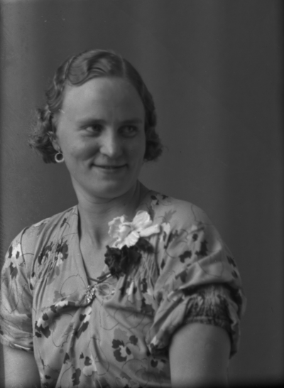 Margit Johansson, Blägda



Dok.071120/RS
