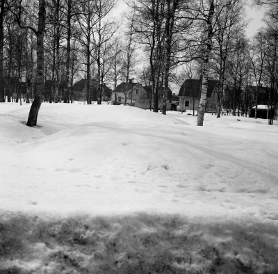 Vinterbild från Gästgivarehagen

Dok.110614/KG