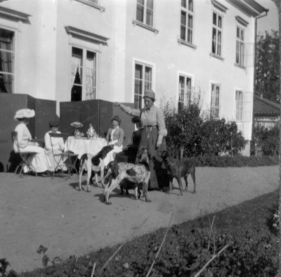 Baksidan av Ålhults herrgård  Okänd