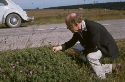 Öland man blommor

090519/KG