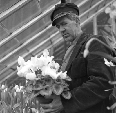 Hällebacka handelsträdgård
Nils Johansson
Trädgårdsmästare

Dok.110620/KG