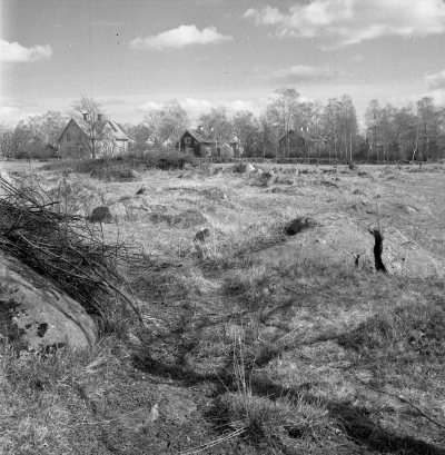 Drottninggatan

Dok.110524/KG

1960-talet Fr.v. 1 Lyckhem Överumsgatan 4, 2 Svenonius Kungsgatan 23, 3 Hellhagen Kungsgatan 28 (ägs sedan av Borrsiö).

