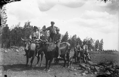Stenröjning i Grägarp sommaren 1921 
1 Tore Hansson Grägarp 2 Elof Gräns Storebro 3 Ossian Åberg Storebro 4 Ernst Johansson Storebro 5 ?     T.E.

Dok.090310/SJ