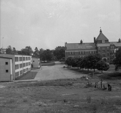 Tullportskolan

Dok.110223/KG