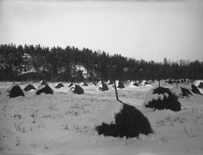 Hällebacka

Många av bilderna i mappen Hällebacka kan lika gärna vara tagna kring Lidhem Locknevi.