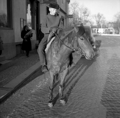 Ridsport, Robin Landholm på Toby, Jöjje Liljegrens häst.

Dok.110615/KG
