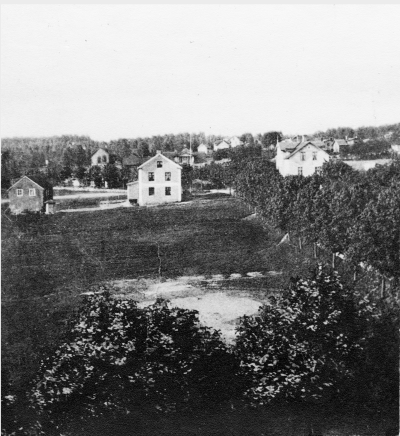 Drottninggatan innan Samrealskolan Byggdes 1906.
Gården till höger är Netzholm och huset till höger är Willevi.