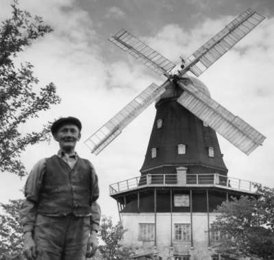 Väderkvarnen Sandvik på Öland flyttades från Vimmerby 1884-86, Mårtensson Mjölnare. Sandviks kvarn 1951.   T.E.