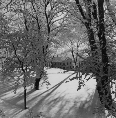 Storgatan sedd från Rektorsgårdens altan 1940-talet.    T.E.