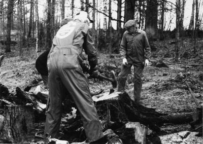 Tjärbränning vid Vagelhem Gullringen
september 1983