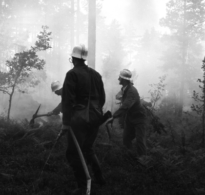 Pyromanbrand

Dok.110519/KG