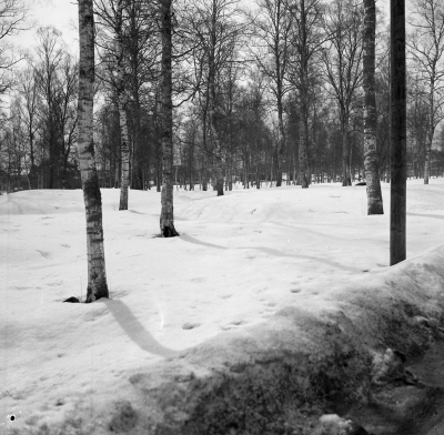 Vinterbild från Gästgivarehagen

Dok.110614/KG