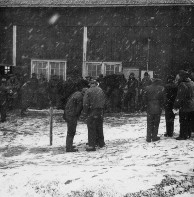 Auktion i Gebo
Alrik Andersson säljer av djur och maskiner