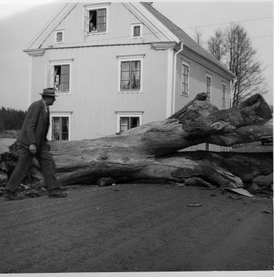 Nertagning av " Ödesasken "
" Gula huset " 
