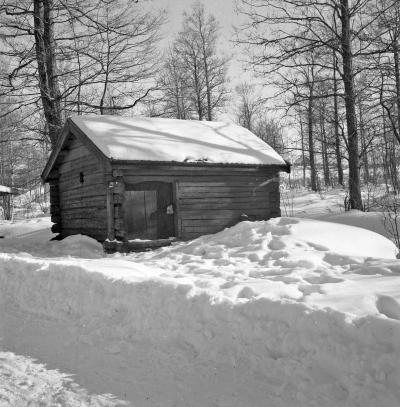 Vinterbild från Gästgivarehagen

Dok.110614/KG