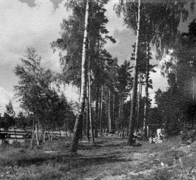 Nossenbadet 1940-talet.   T.E.