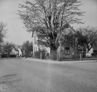 Storgatan

Dok.110413/KG

Storgatan 59, Harry Sälls hus tidigare ägare Oskar Halling revs på 1960-talet.  T.E.
Persborg II byggt 1906 ? av bryggeriarb. Lindström ( Grönlid ). Rivet av staden, Storgatan 59 (Tidigare ägdes gården av Oscar Halling). Sista ägare snickare Säll som sålde gården till staden.   T.E.