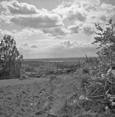 Djursdala 

Dok.110524/KG