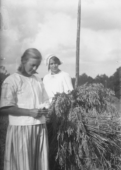 Hällebacka 

Många av bilderna i mappen Hällebacka kan lika gärna vara tagna kring Lidhem Locknevi.