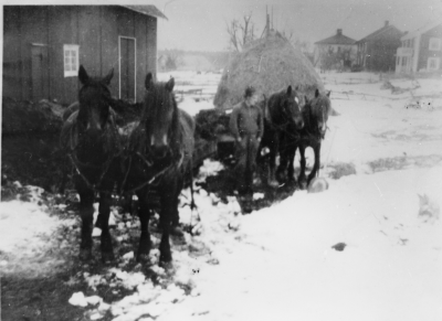 Boningshusen från vänster 1. Gustaf Nilssons 2.  3.  Hans Arvidsson, Dräng hos Göte Karlsson vars hästar på bilden       