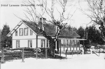 Reprofoto
Fritiof Larssons Diverseaffär 
Falla