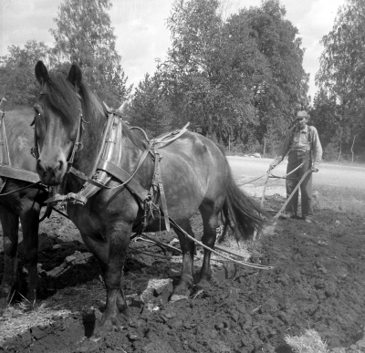 Lantbruk
- plöjning med häst -

Dok.110627/KG