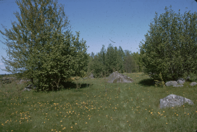 Slättfall hagmark

090402/KG