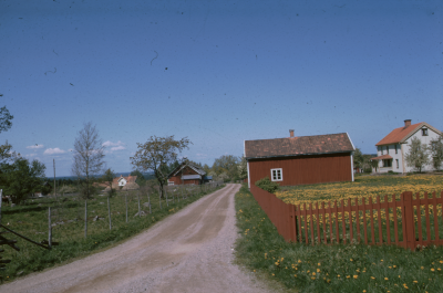 Väg hus maskrosor

090525/KG