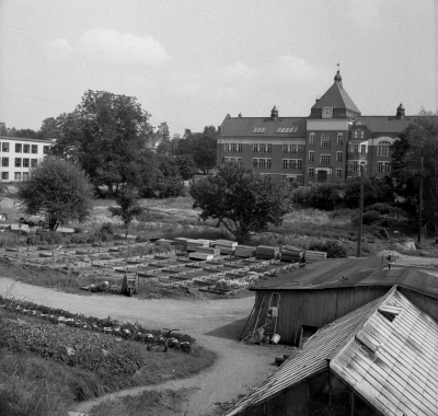 Handelsträdgård
revs när biblioteket byggdes vid Tullportskolan

Dok.110223/KG