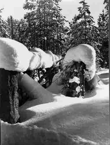 Snögirlander , Vimmerby