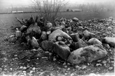 Forngravarne 
Hällkista invid läg. Hällerum på Vimmerby stads område före undersökningen. Bilden tagen från östra sidan i maj 1931.
Undersökningen verkställdes av dr Harald Hansson i Gamleby den 10/6 - 13/6 1931. I graven hittades i de översta lagren kol, brända ben, hartsklumpar, krukskärvor samt en liten bronsplatta. Allt tyder på att graven även använts under bronsåldern. I bottenlagret hittades 5 st. pilspetsar av flinta, några flintskärvor, ornerade krukskärvor m.m. samt kunde skönjas delar av två skelett, ett vid huvudändan samt ett i mitten av graven. Plåtserien är tagen av undertecknad samt som gåva överlämnad till doktor Harald Hansson. 
Vimmerby i juni 1931.
Nils Winell
Stadsingenjör 