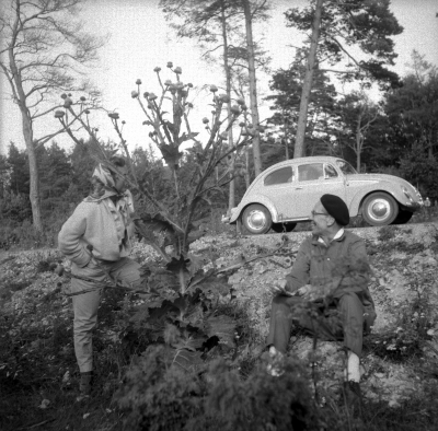 Öland

Dok.110413/KG