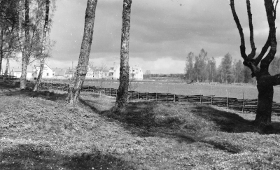Gravkullarna i Gästgivarhagen, finns 300. Av dessa har ca. 140 undersökts.  