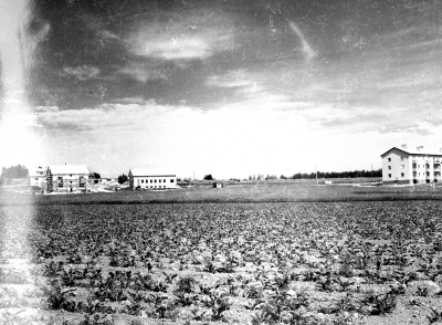 Storgatan 1940-talet. Vimarhemsområdet Folkets Hus i mitten.   T.E.