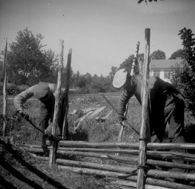 Lantbruk
- hängning av gärdesgård -

Dok.110627/KG