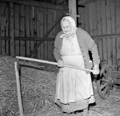 Selma Fransson tröskning med slaga

Dok.110524/KG