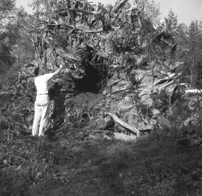 Öland

Dok.110413/KG