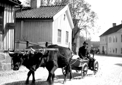 Storgatan 1905 Huset i mitten revs 1920-talet då Kyrkterassen byggdes Huset i mitten Östra Tullstugan flyttades till Gästgivarehagen och blev sedan en tid bostad åt vaktmästaren, nu museibyggnad.   T.E.
Foto: Stockholms stadsarkiv
