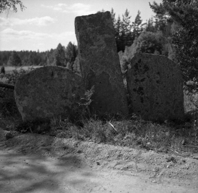 Gryssebo
Bautastenarna vid Borstena

Dok.110613/KG