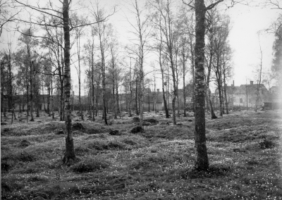 Gästgivarhagen. Gravfält