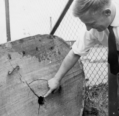 Disponent Stig Bälter Fanérfabriken.