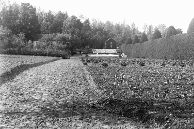 Hällebacka 

Många av bilderna i mappen Hällebacka kan lika gärna vara tagna kring Lidhem Locknevi.