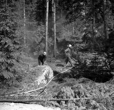 Skogsbrand i Pelarne

Dok.110519/KG